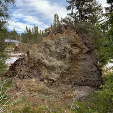 Program november 2022