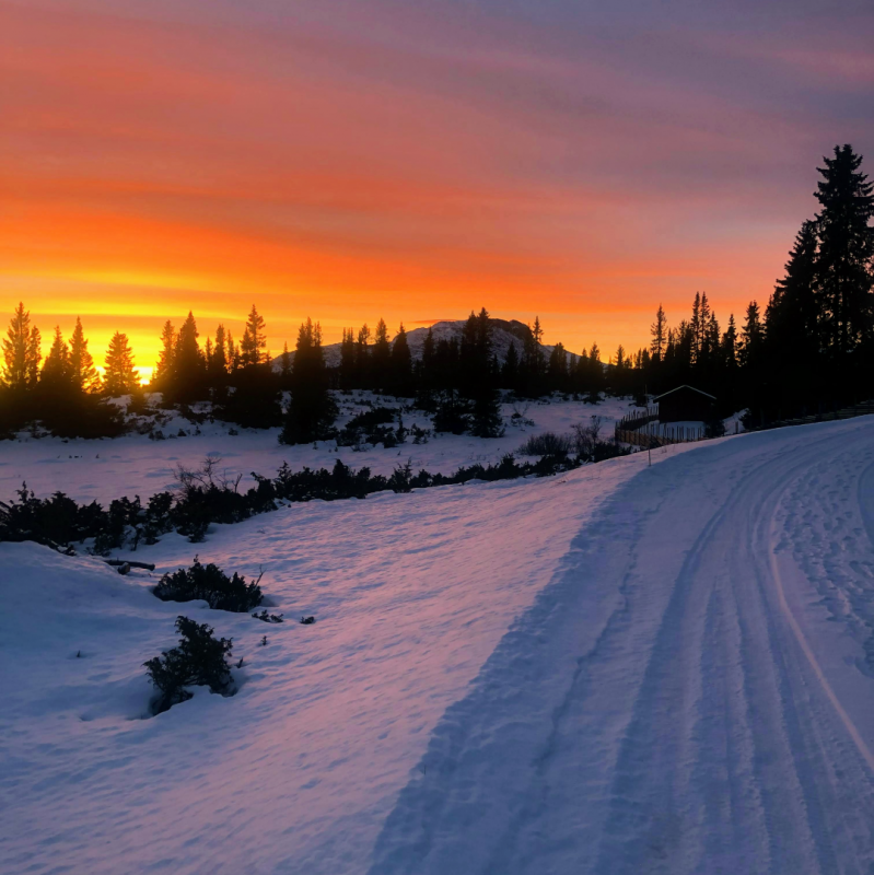 Program desember 2022