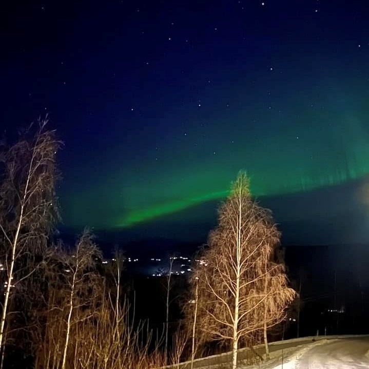 Program Februar 2025